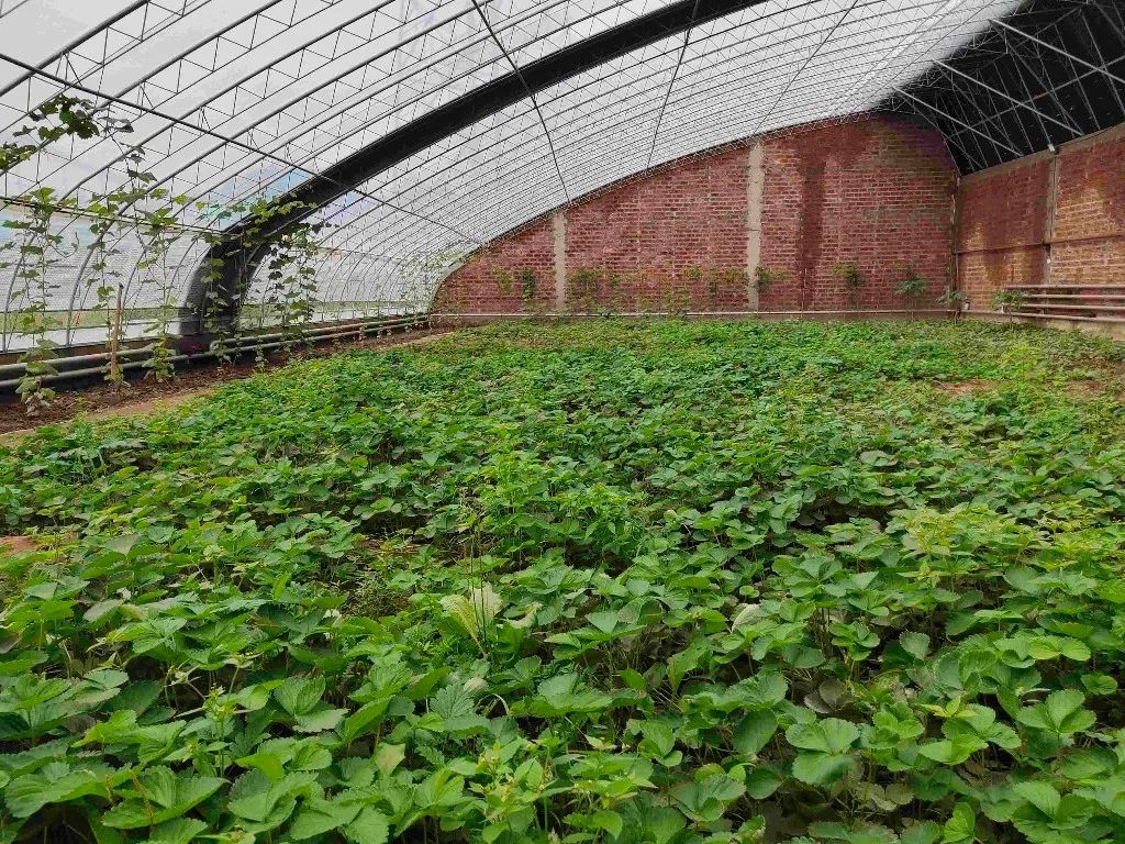 兰州市西固区乡村振兴,西固区乡村振兴示范带