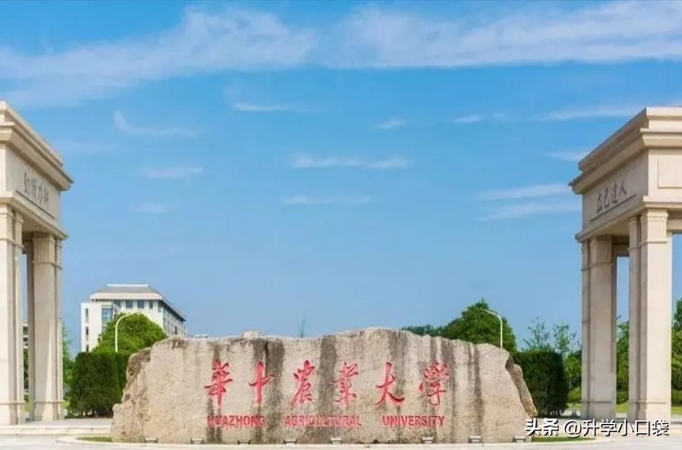 湖北最值得报考的15所大学,2021湖北各大学排名