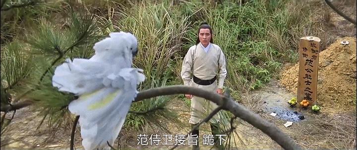 41年前兄弟3人，合作拍出无厘头开山电影，因为太超前票房惨淡