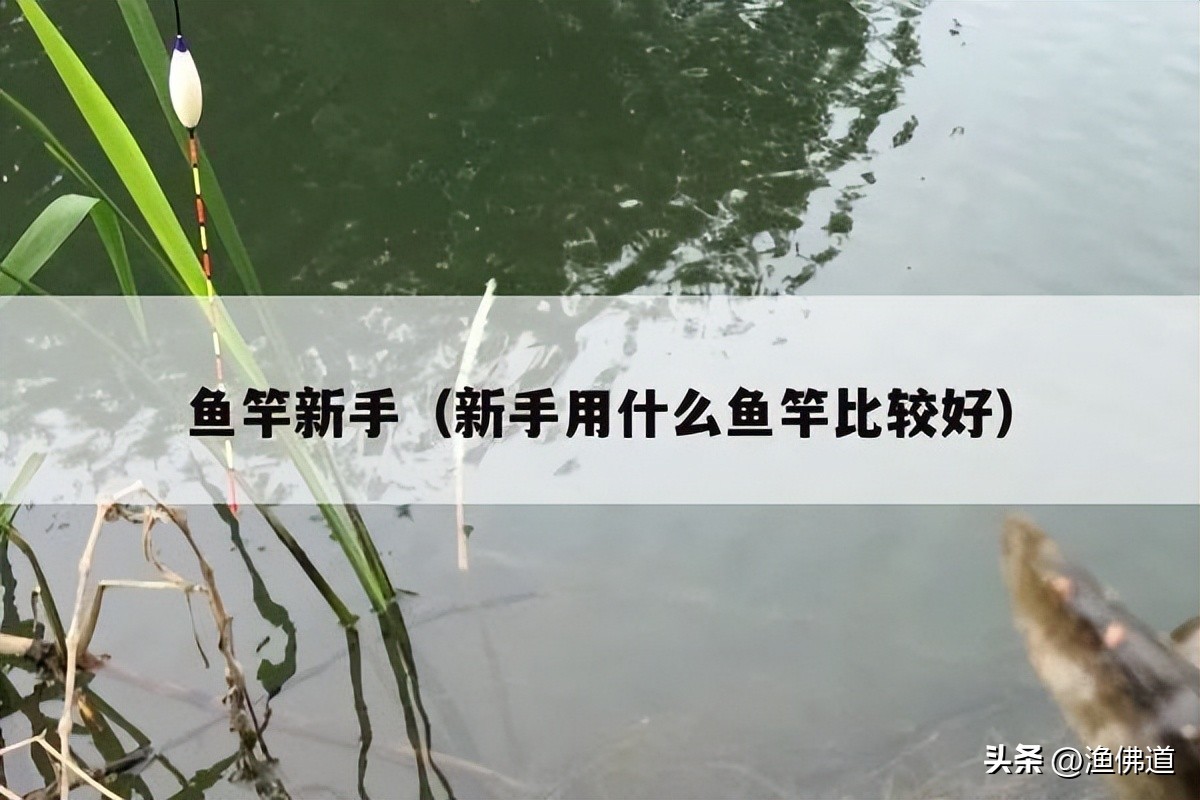 鱼竿该选哪种鱼竿好用又便宜,新手装鱼竿推荐什么鱼竿