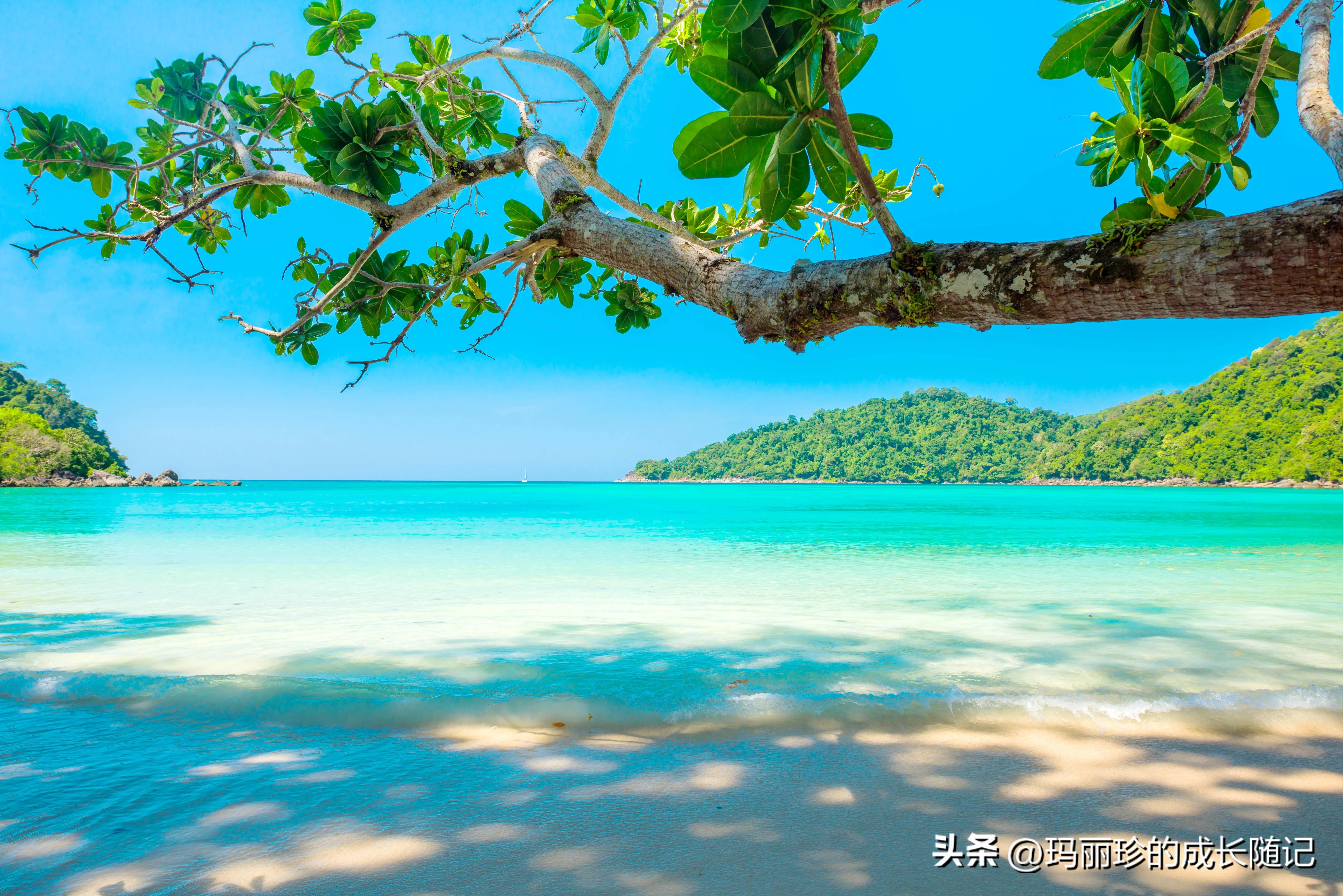 学习英语的好处英语版,小学生学习英语的好处