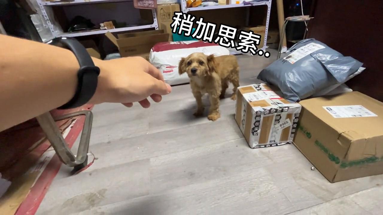 济源富士康大学生勇闯富士康,挑战济源富士康的第一天