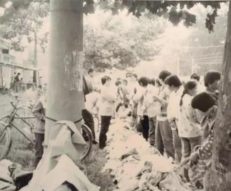 张世强浦江,浦江张世强诈骗案过程