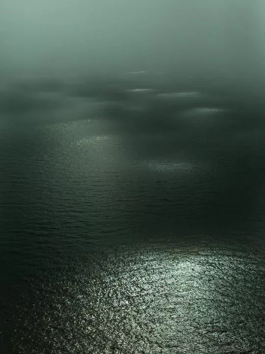 海洋巨蟒真实照片大全,海洋巨蟒真实图片大全