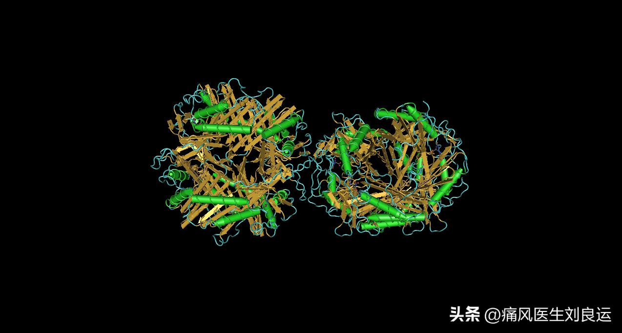 尿酸酶和非布司他,用了非布司他痛风持续发作