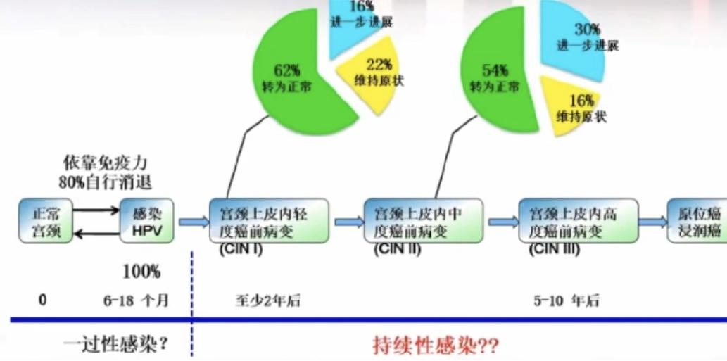 派特灵生物,派特灵生物讲解