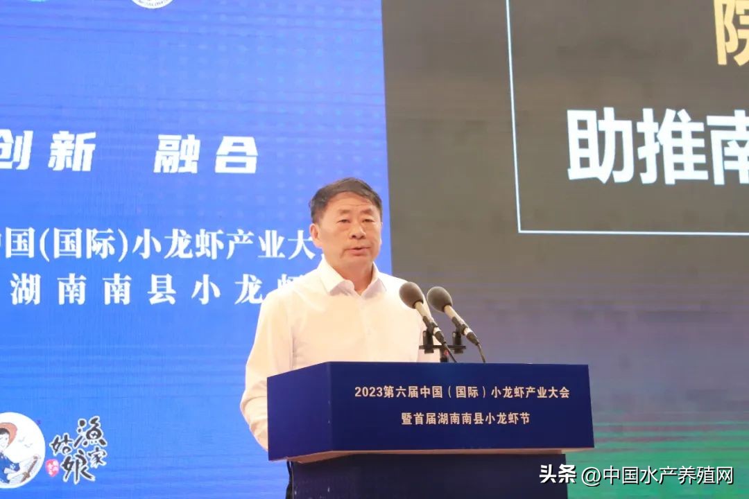 2023年南县小龙虾价格行情,南县小龙虾价格报价