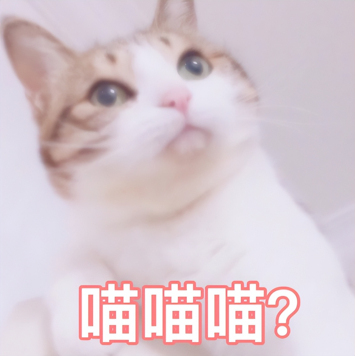 大尺度国产剧《芳心荡漾》，真的恶俗