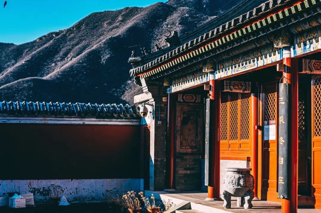 石景山首钢园骑行,春天石景山赏花