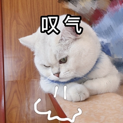 观海杂话铺433|abandon“痛失”单词圈榜首,网友告白:我的青春结束了!