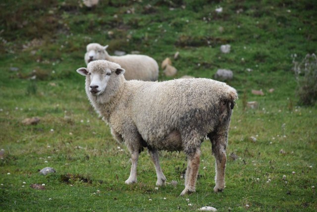新春走基层乡村旅游让日子更红火,新春走基层扶贫致富