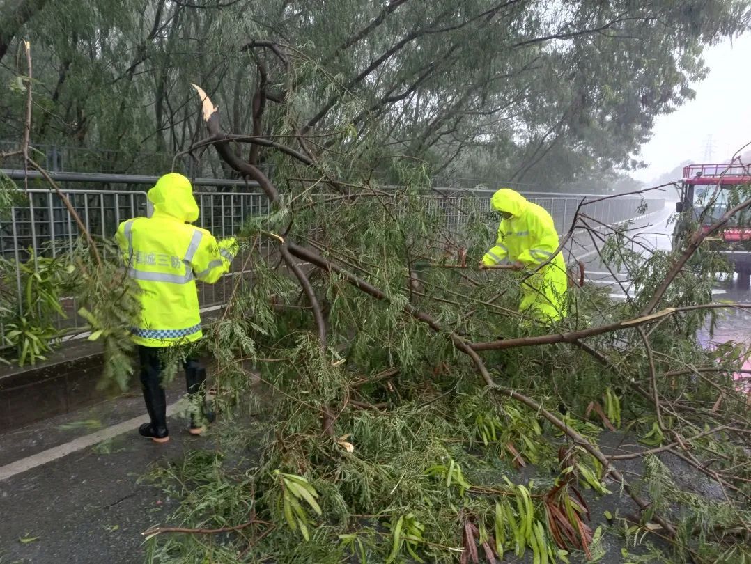 深圳市防御强降雨工作指引,深圳迎暴雨天气