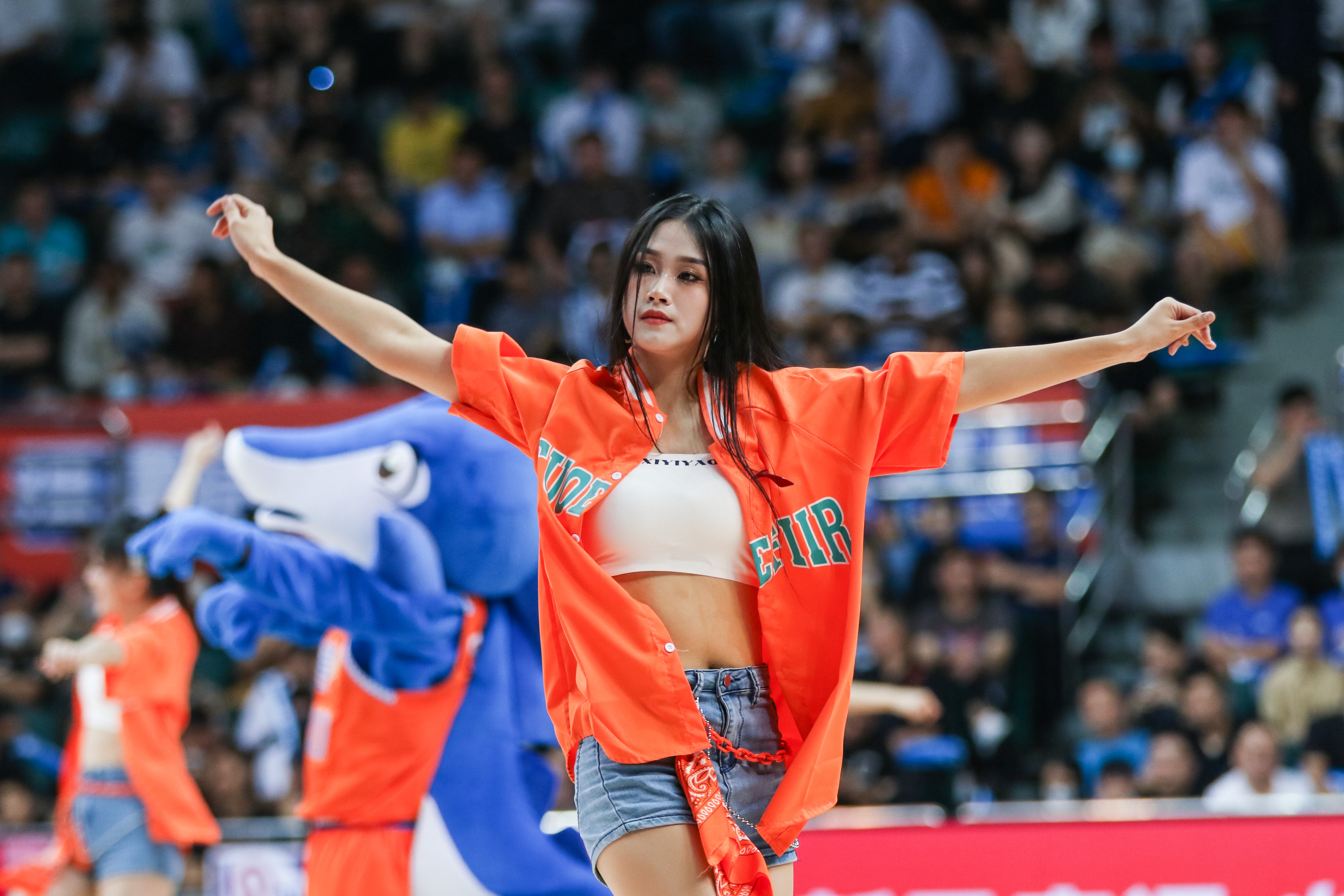 2024年福建浔兴啦啦队,福建sbs浔兴篮球队啦啦队