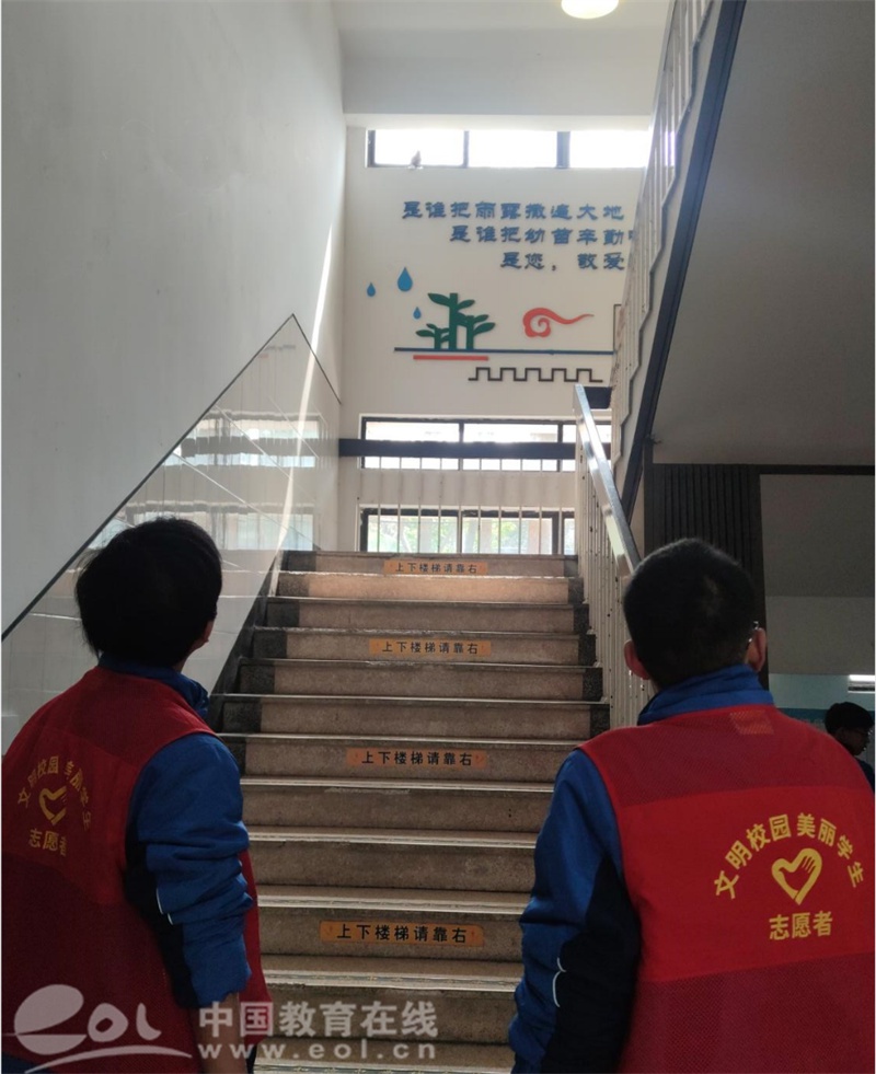 “解救小斑鸠”行动在启航中学上演校长为志愿者点上大大的赞