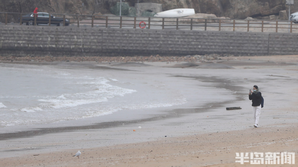 海边直播户外风景,海边直播的现场
