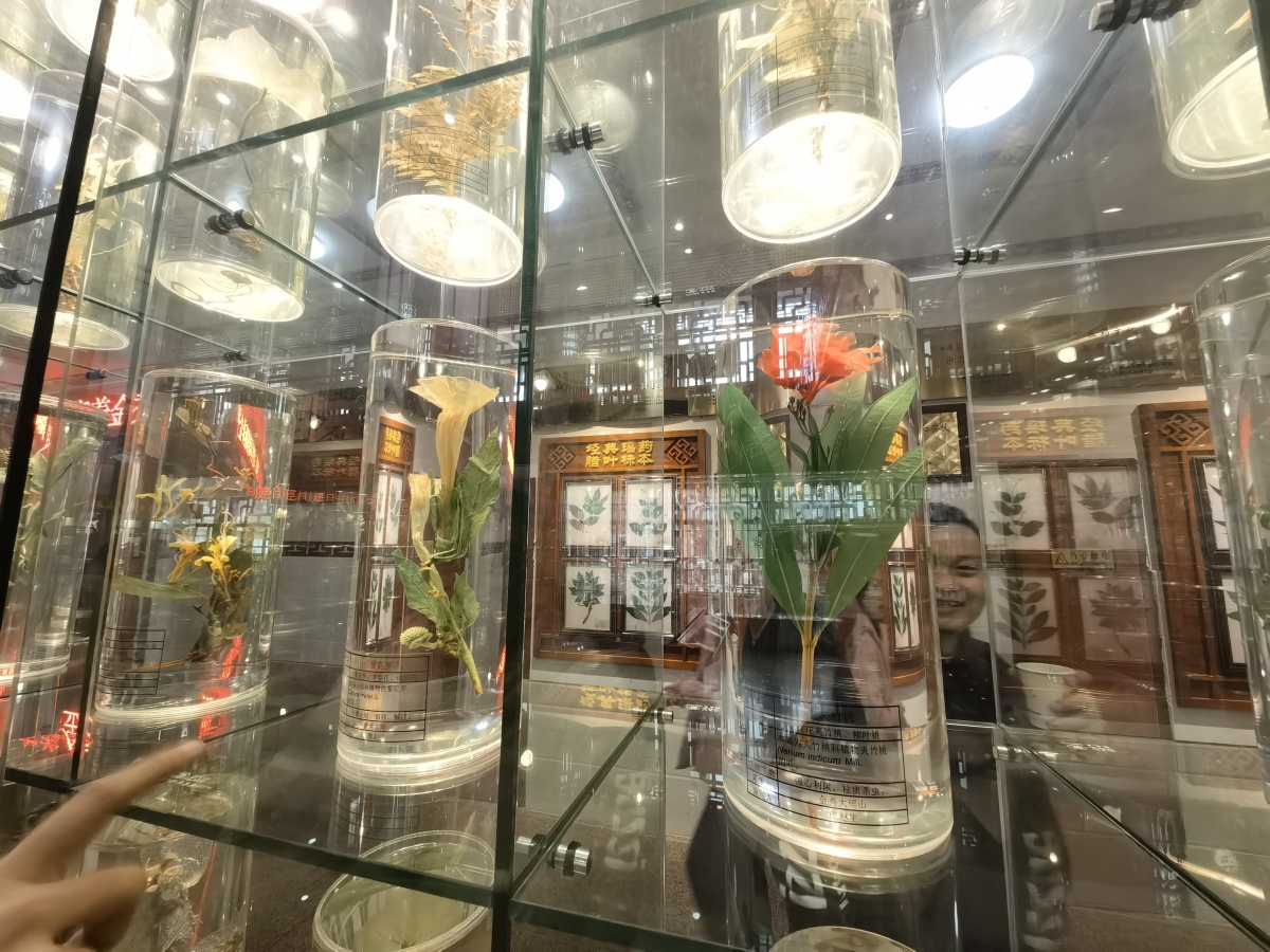 九死还魂草复活的视频,九死还魂草复活