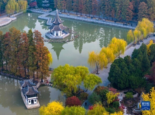 冬景迷人,冬景如画