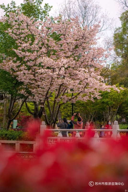 苏州值得逛的免费公园,苏州逛公园