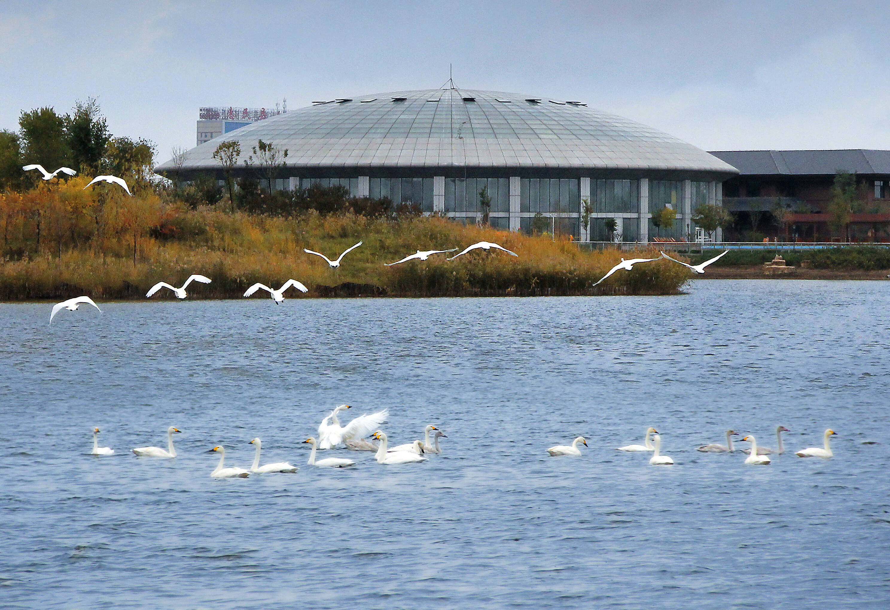 山东泡温泉攻略,冬天去山东哪个温泉最好