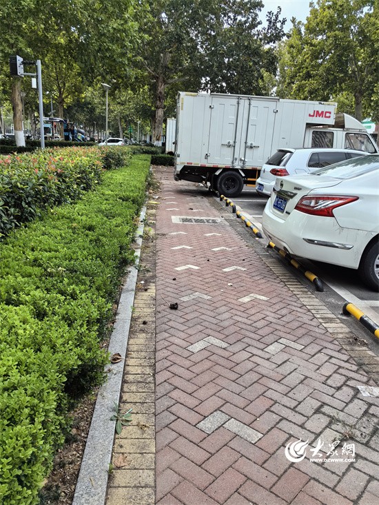 鏈夋穭鏈夌埍浜夊仛鏂版椂浠ｅ仴搴峰ソ灏戝勾,鏈夋穭鏈夌埍浜夊仛鏂版椂浠ｇ編寰峰ソ灏戝勾