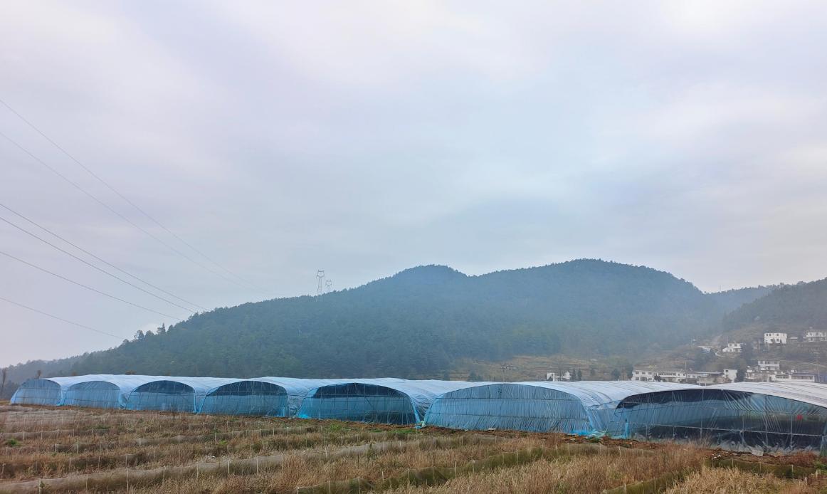 巴渝和美乡村建设,建设巴渝和美乡村前提是什么