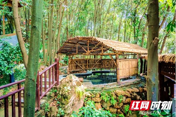 张家界冬季游玩冷吗,张家界温泉旅游攻略