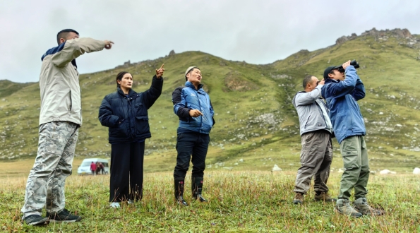 世界雪豹日宣传片,世界雪豹