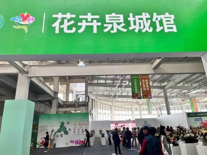 游花博泡温泉打卡,冬天商河温泉一日游