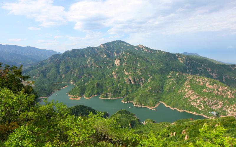 龙年寻龙龙泉,龙年寻龙景区