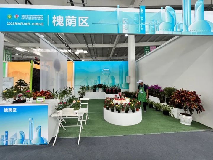 游花博泡温泉打卡,冬天商河温泉一日游