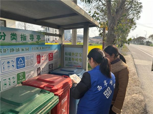 紫蓬镇党建引领乡村网格治理,党建引领社区网格治理的具体做法