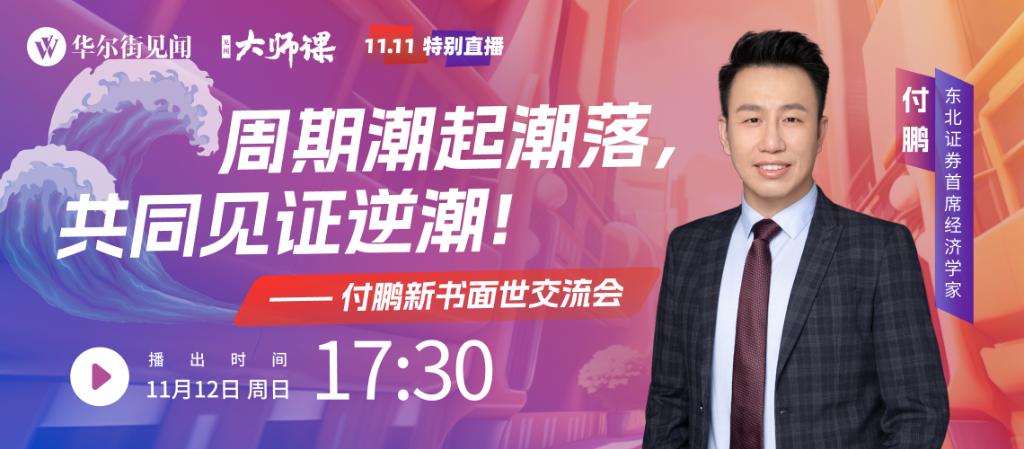 付鹏宏观经济论坛视频,付鹏评判当前中国经济