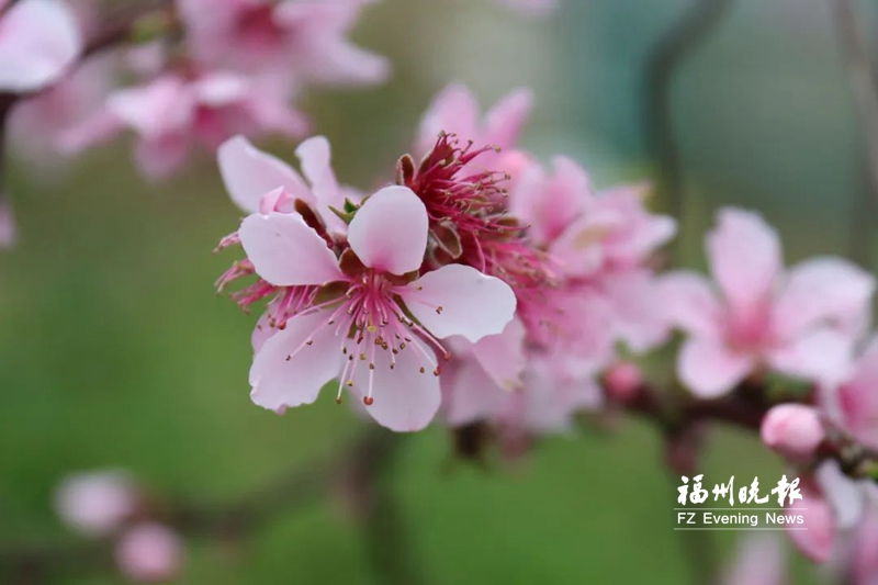 福州清明踏青好去处,福州周边踏青好去处