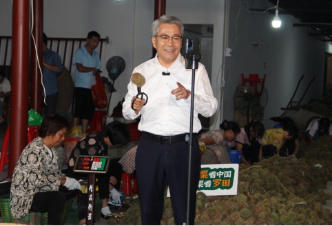 湖北罗田板栗,湖北罗田板栗专业加工厂