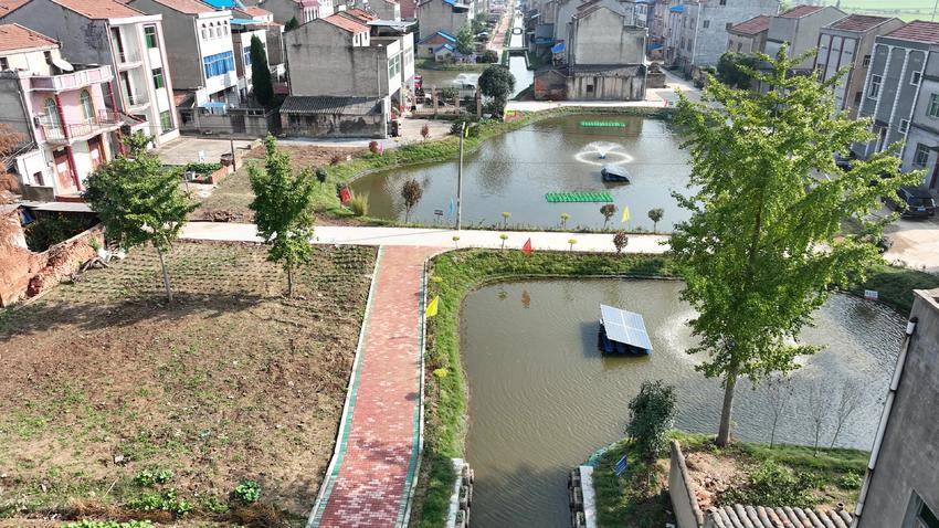 高端黑臭水体治理,清河黑臭水体治理