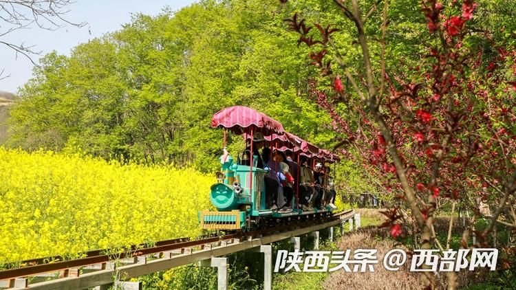 美丽乡村陕西勉县,推动勉县经济高质量发展