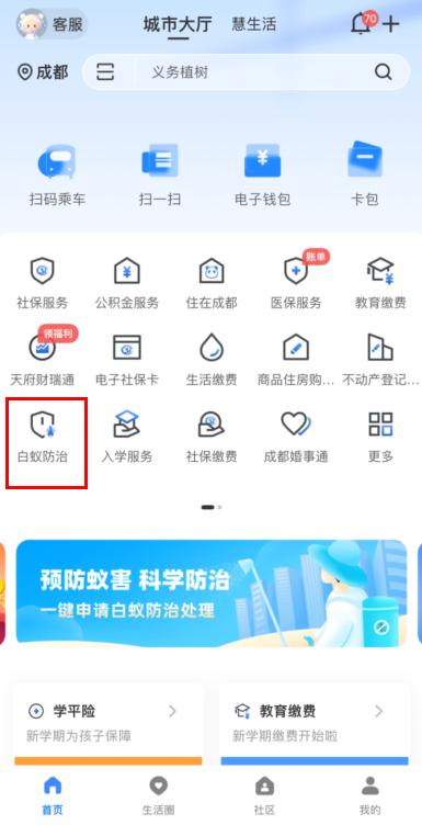 很多白蚁飞来飞去怎么办,白蚁分飞怎么办