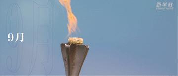 微视频2020,微视频2019