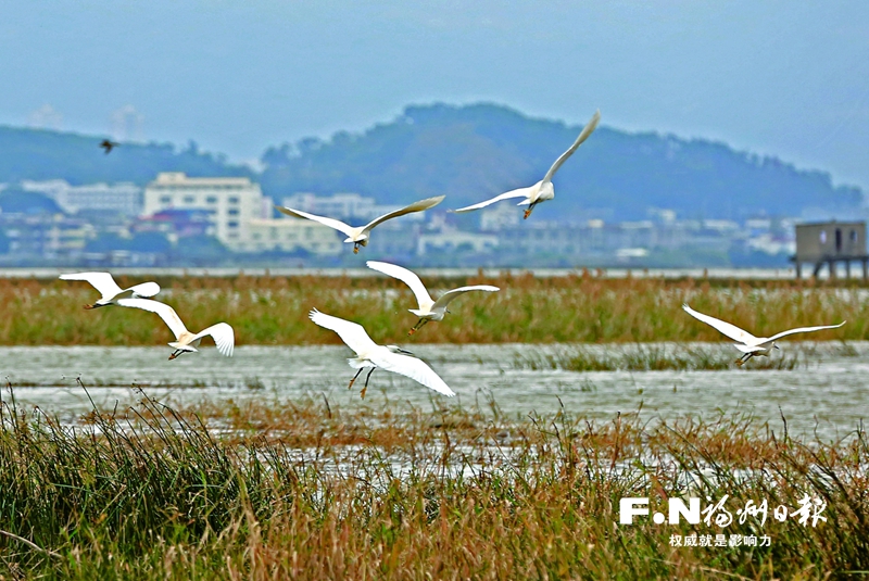 稀客变常客,稀客变常客说明了啥