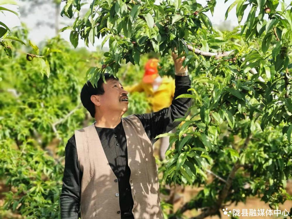 田野花开广场舞背面,田野花开广场舞视频