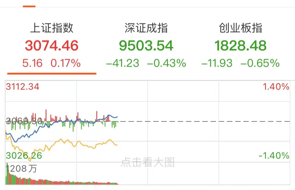 大盘冲高回落创业板强势补涨,创业板短线暴跌