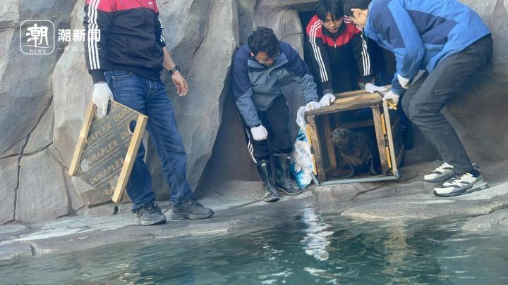 舟山长乔极地海洋公园门票团购,舟山长乔海洋公园海狮