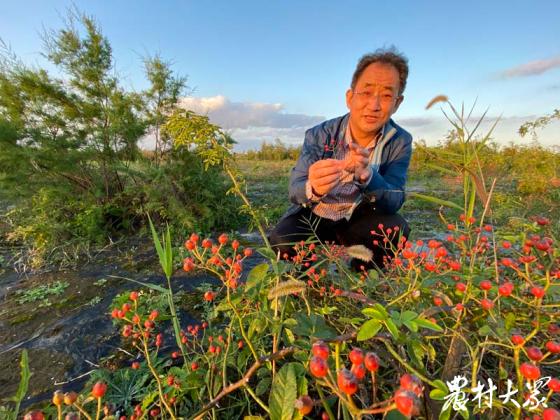 海洋生物捕获多少二氧化碳,海洋封存二氧化碳技术有哪些国家