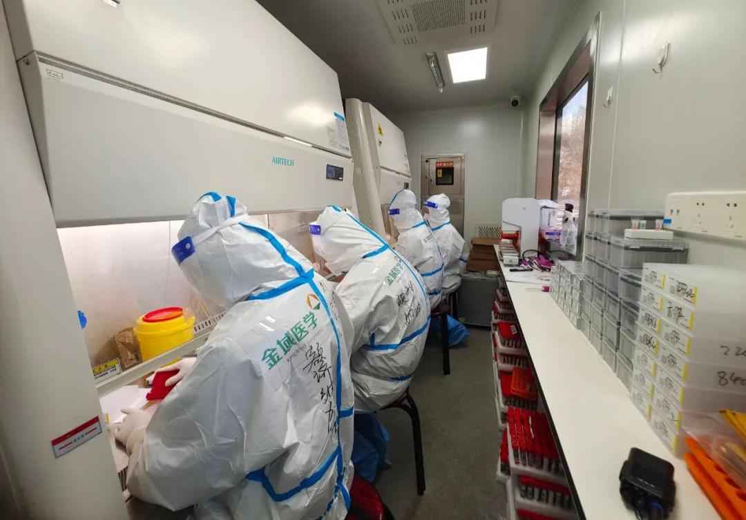 千里驰援藏驼队,千里驰援额济纳