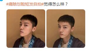 鹿晗发福的视频,鹿晗发福豆瓣