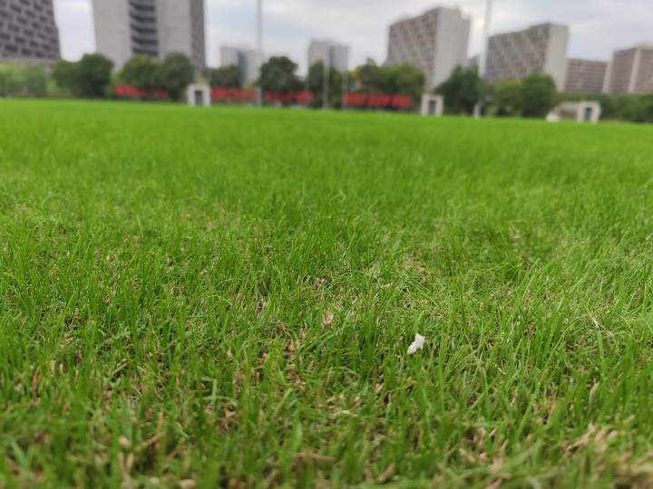 杭州亚运会橄榄球会场平面图,杭州亚运会赛程2023橄榄球