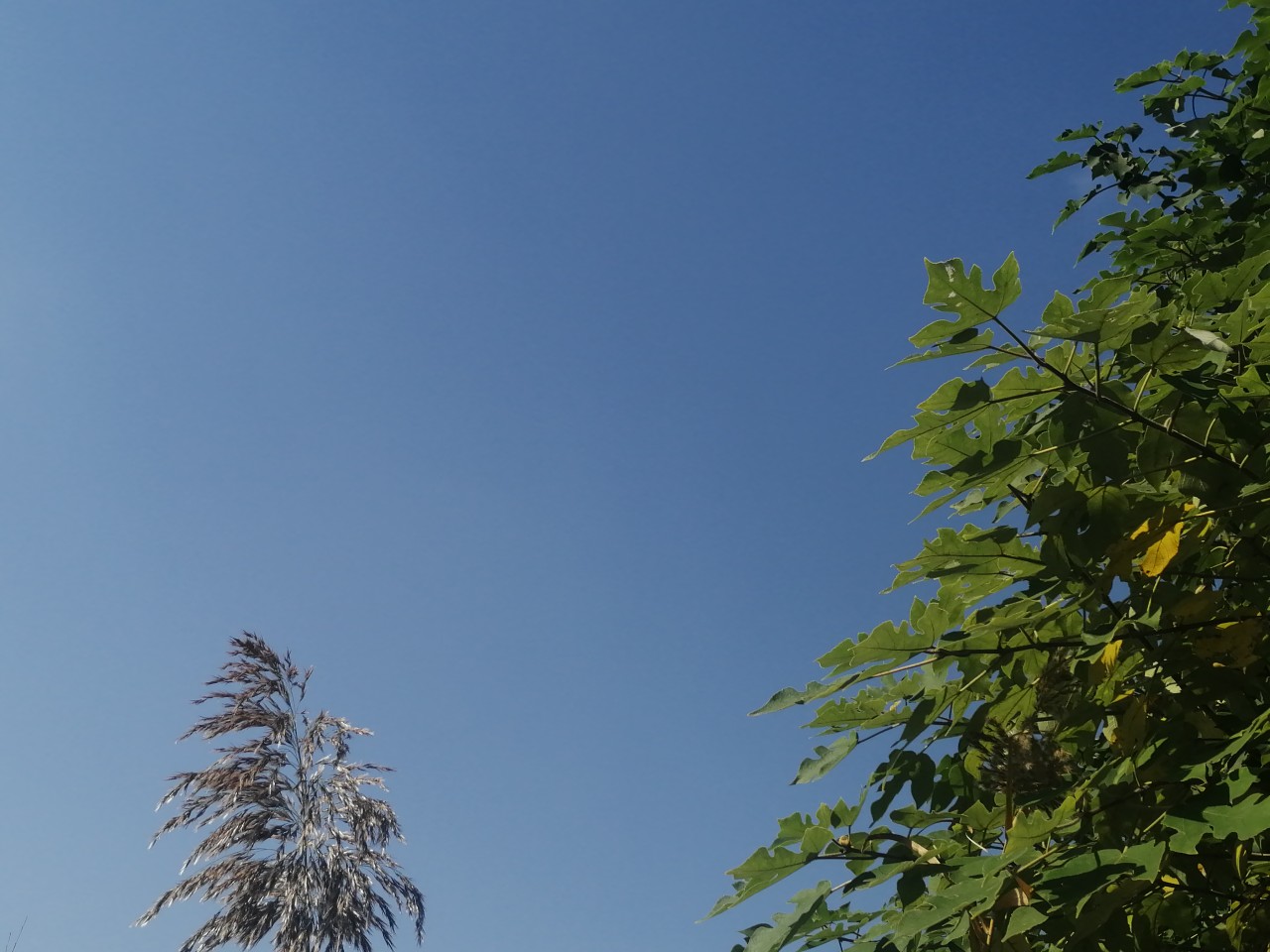 「双11」寒潮来袭检验是否空军，什么用蚯蚓也能上草鱼？