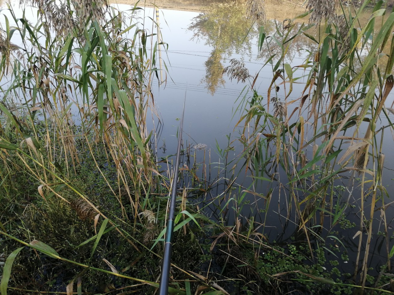 「双11」寒潮来袭检验是否空军，什么用蚯蚓也能上草鱼？