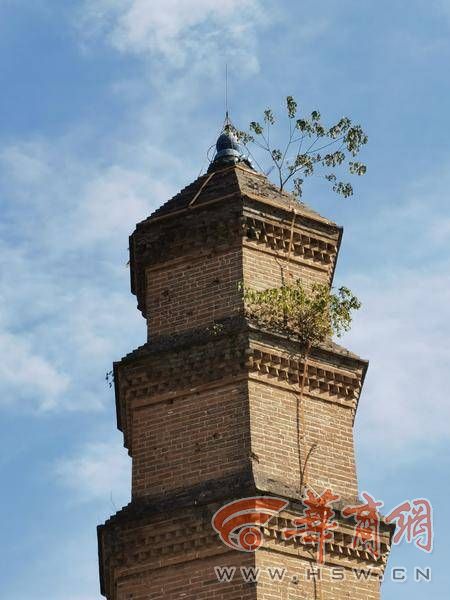 西安万寿寺藏经塔,西安万寿寺塔内部