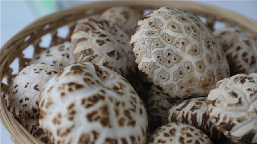 商洛市项目观摩结果,2018年商洛市重大项目观摩